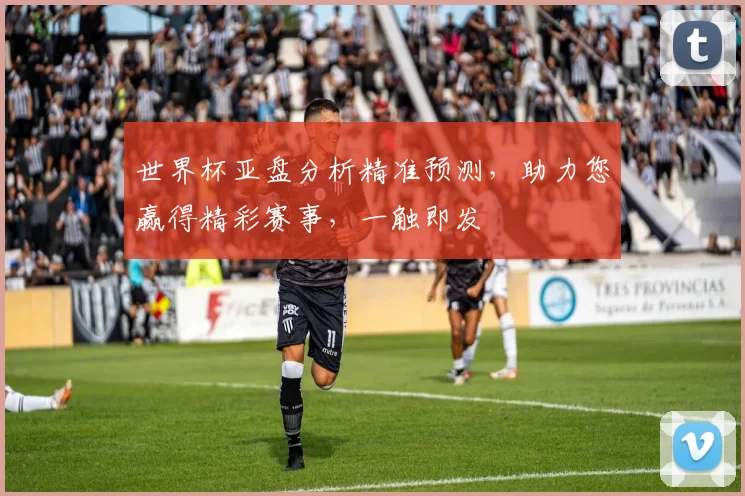 世界杯亚盘分析精准预测，助力您赢得精彩赛事，一触即发