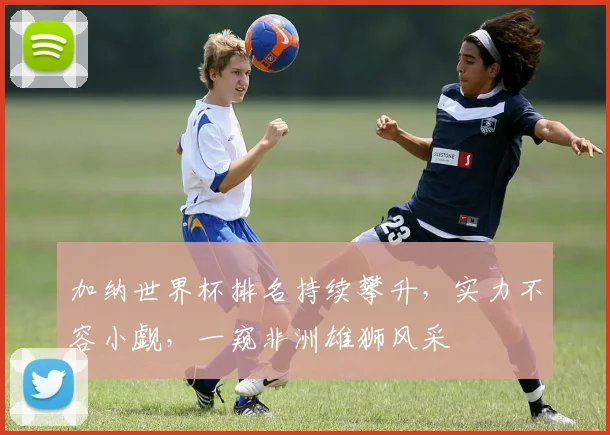 加纳世界杯排名持续攀升，实力不容小觑，一窥非洲雄狮风采