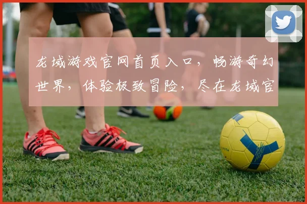 龙域游戏官网首页入口，畅游奇幻世界，体验极致冒险，尽在龙域官网，不容错过